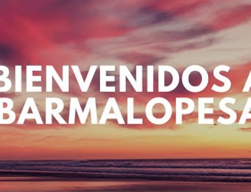 Los vídeos de Barmalopesa