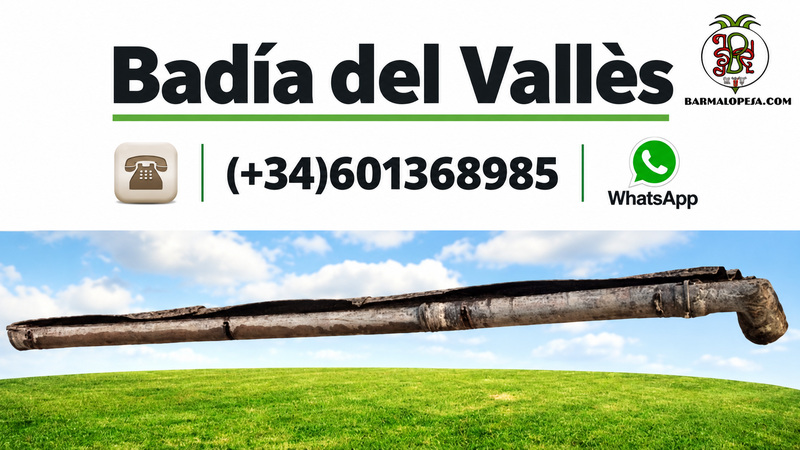 Canalones de amianto en Badia del Vallès