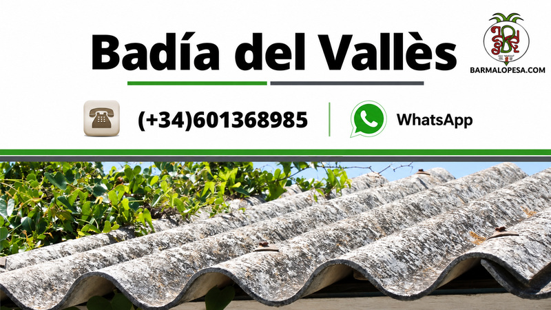 Tejados de amianto en Badia del Vallès
