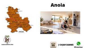 Mapa de la Anoia con Igualada destacada junto a dos profesionales renovando el suelo y una pared de una vivienda.
